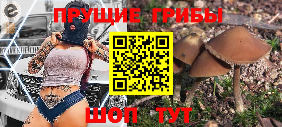Псилоцибиновые грибы Cubensis  Вход с VPN  где можно купить   Междуреченск 