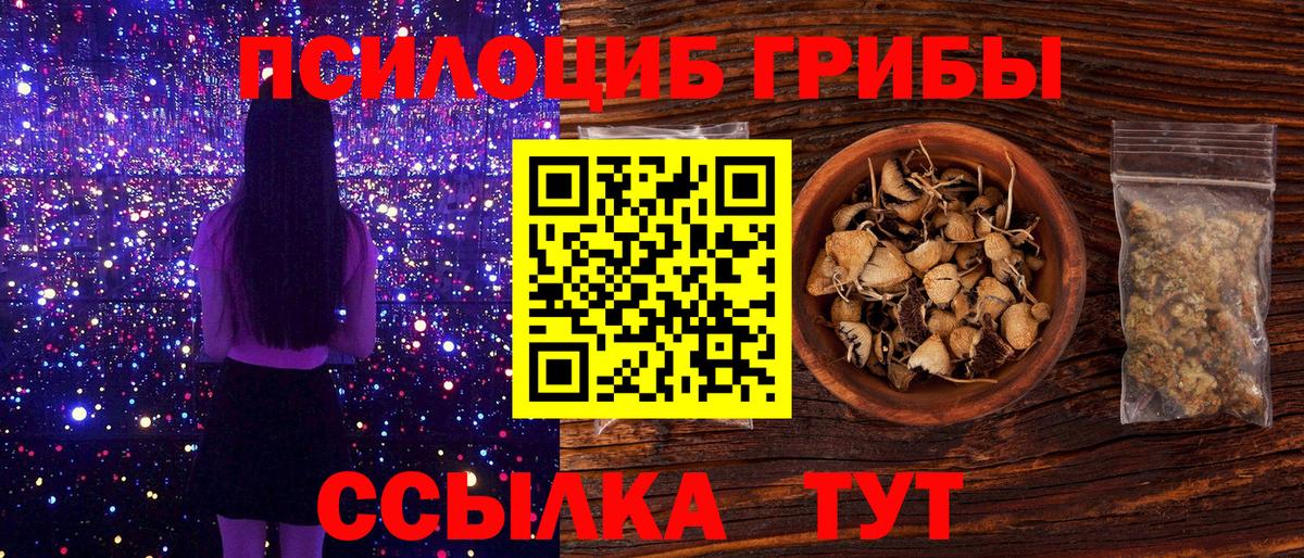 Галлюциногенные грибы Cubensis Междуреченск